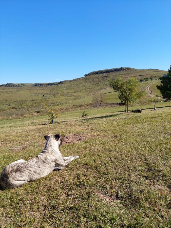Cabanas Vista Verde Tacuarembó Εξωτερικό φωτογραφία